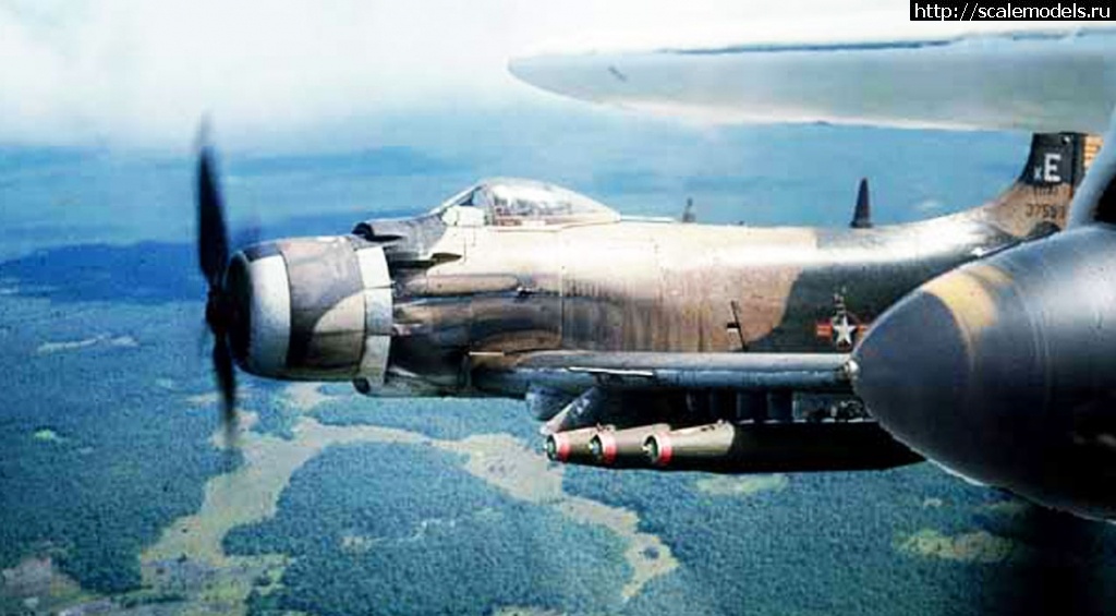 1580133651_a1-sandy.jpg : #1597887/ Skyraider -      