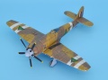 Trumpeter 1/48 Hawker Sea Fury FB20 -  