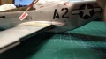 Eduard 1/48 P-51D Red Tails