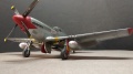 Eduard 1/48 P-51D Red Tails