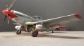 Eduard 1/48 P-51D Red Tails