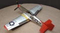 Eduard 1/48 P-51D Red Tails