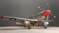 Eduard 1/48 P-51D Red Tails