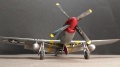 Eduard 1/48 P-51D Red Tails