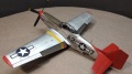 Eduard 1/48 P-51D Red Tails