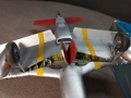 Eduard 1/48 P-51D Red Tails