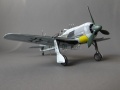 Eduard 1/48 FW 190A-6/R-11 -  