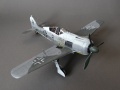 Eduard 1/48 FW 190A-6/R-11 -  