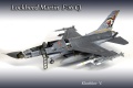 Tamya 1/32 F-16 J (block 50) Fighting Falcon