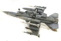 Tamya 1/32 F-16 J (block 50) Fighting Falcon