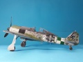 Eduard 1/48 Fw-190 A-9 Profi Pack