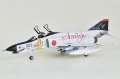 Hasegawa 1/48 F-4EJ Phantom ll AMIGO