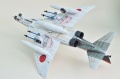 Hasegawa 1/48 F-4EJ Phantom ll AMIGO