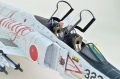 Hasegawa 1/48 F-4EJ Phantom ll AMIGO