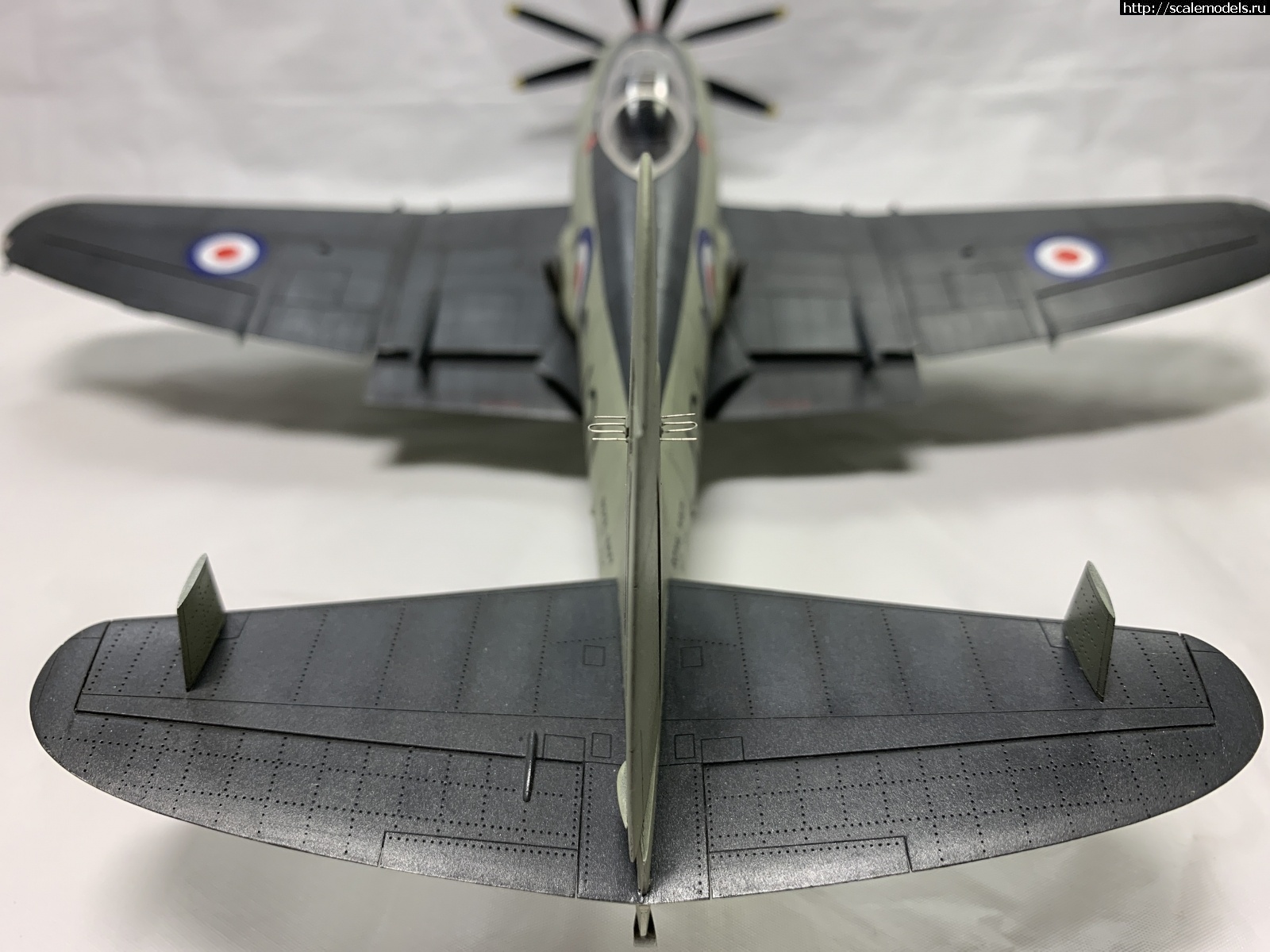 1581539641_2020-02-12-23-13-18.JPG : #1601351/ Trumpeter Westland Wyvern S.4 Early 1/48  