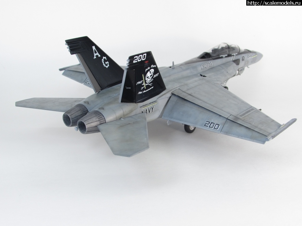 1581966620_011.JPG : #1602233/ F/A-18F Super Hornet 1/72 Academy 'Jolly Rogers'  