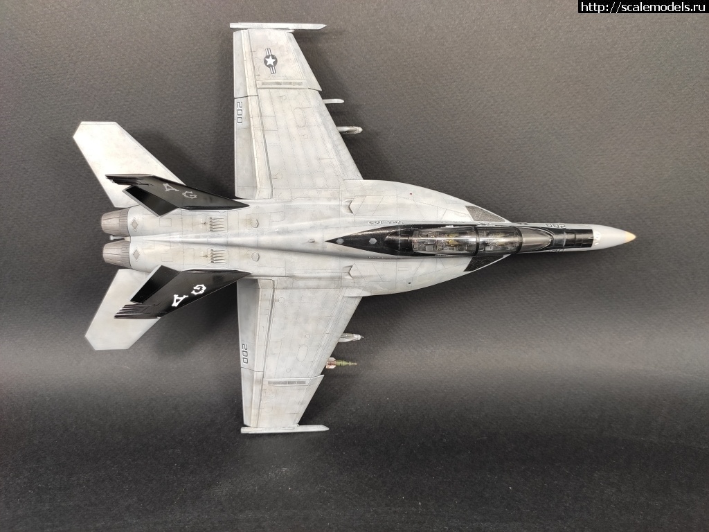 1582025451_0010.jpg : #1602233/ F/A-18F Super Hornet 1/72 Academy 'Jolly Rogers'  