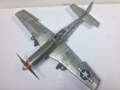 Meng 1/48 P-51D Mustang