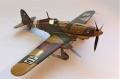   - 1/48 Fiat G.55, MC.205, Re.2005