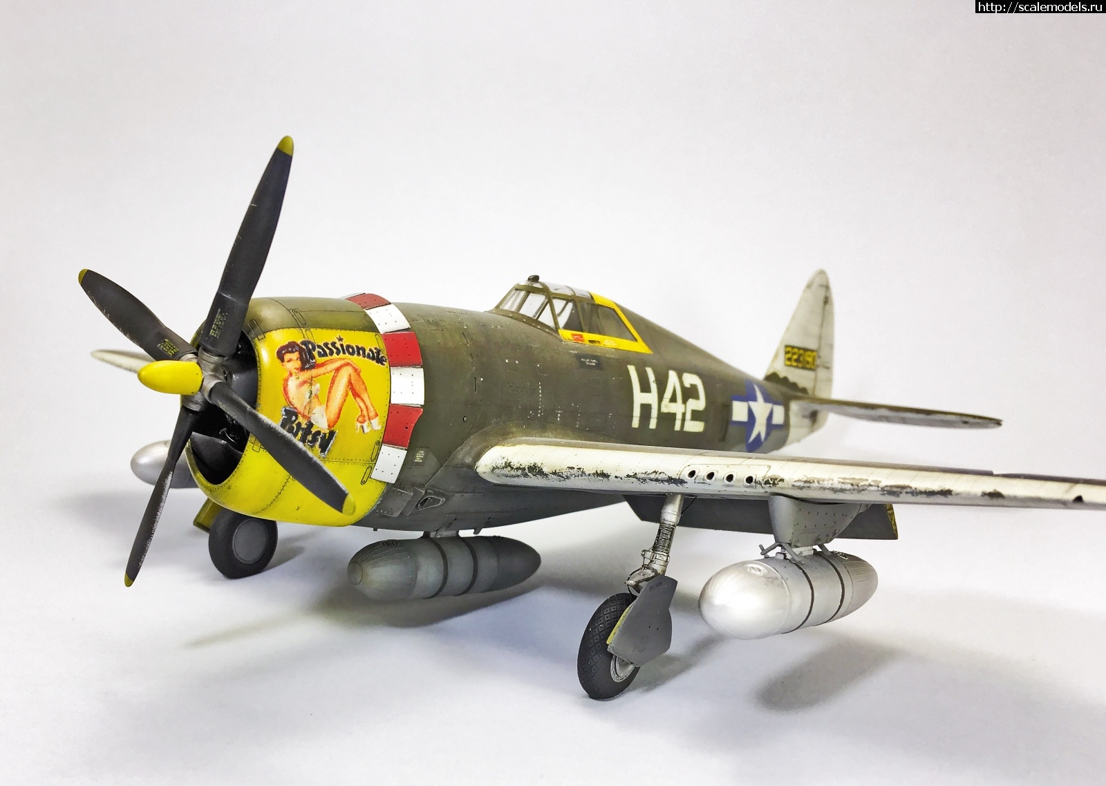 1583086986_IMG_4451.jpg : #1604503/ Tamiya 1/48 P-47,D-16. Thunderbolt.    .  