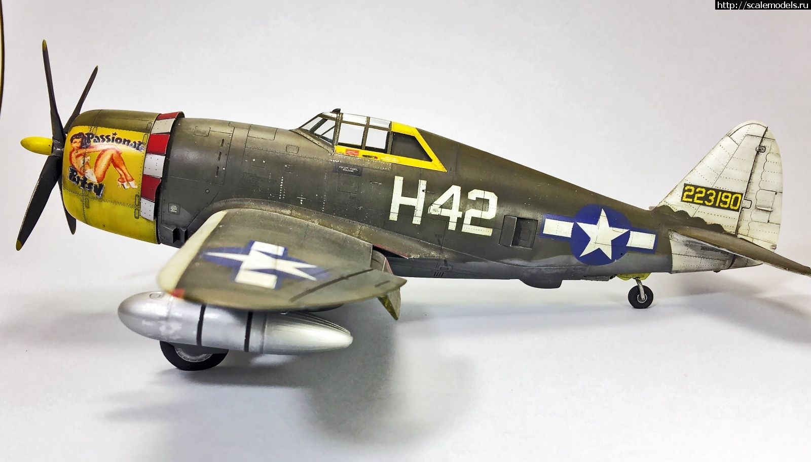 1583086999_IMG_4453.jpg : #1604503/ Tamiya 1/48 P-47,D-16. Thunderbolt.    .  