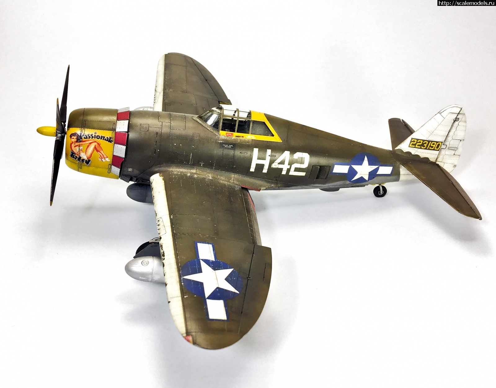 1583087075_IMG_4461.jpg : #1604503/ Tamiya 1/48 P-47,D-16. Thunderbolt.    .  