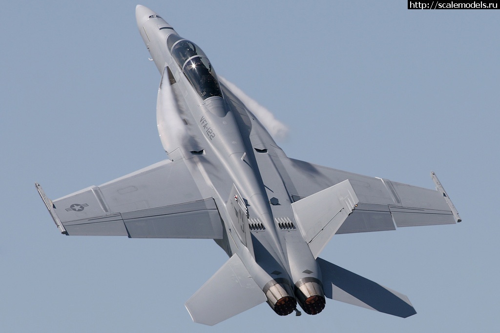 1584528778_008-Boeing-FA-18F-Super-Hornet-2006.jpg : #1607501/ Hasegawa 1/72 EA-18G Growler(#13992) -   