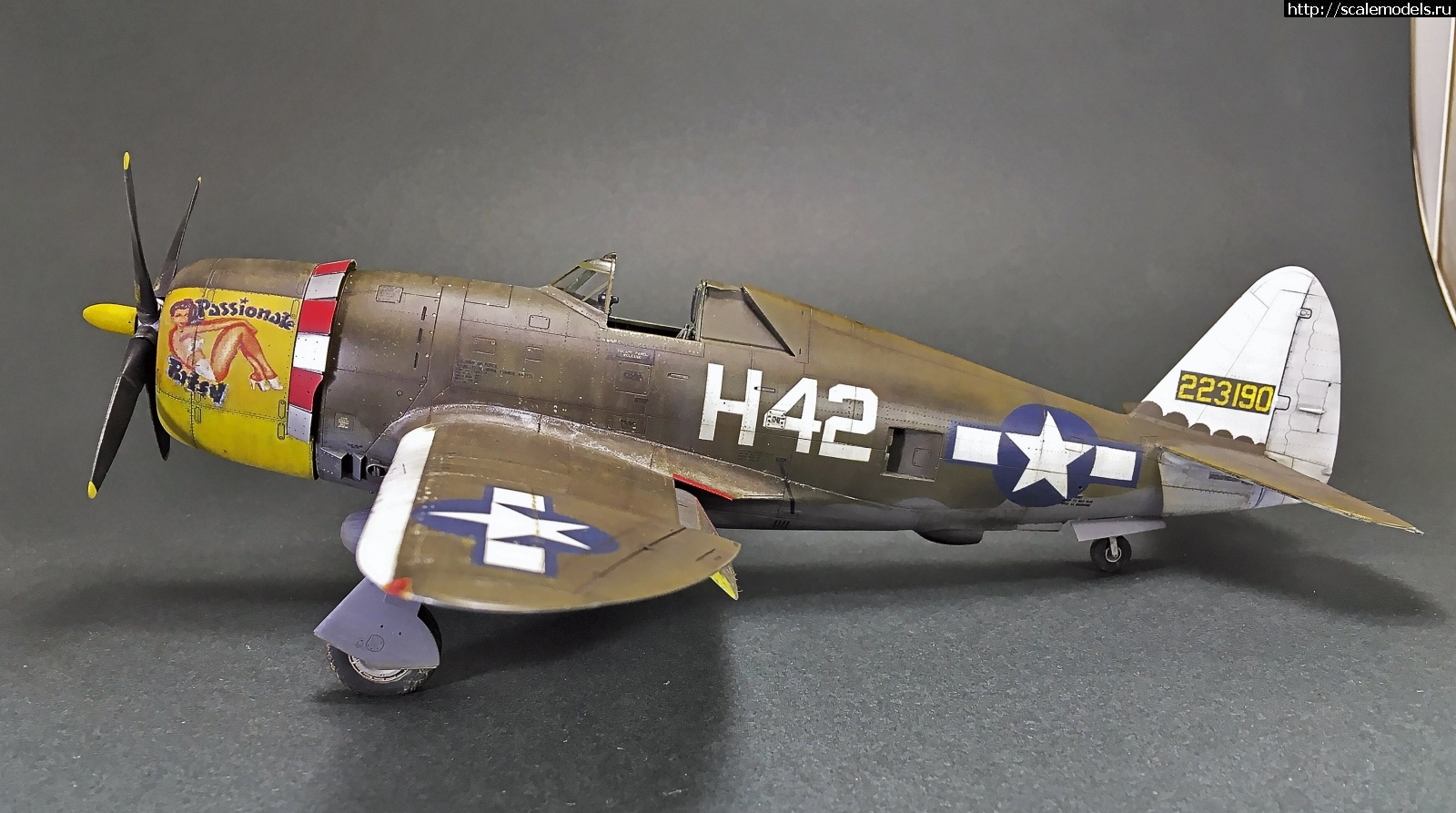 1584903454_IMG_4654.jpg : #1608660/ Tamiya 1/48 P-47,D-16. Thunderbolt.    .  