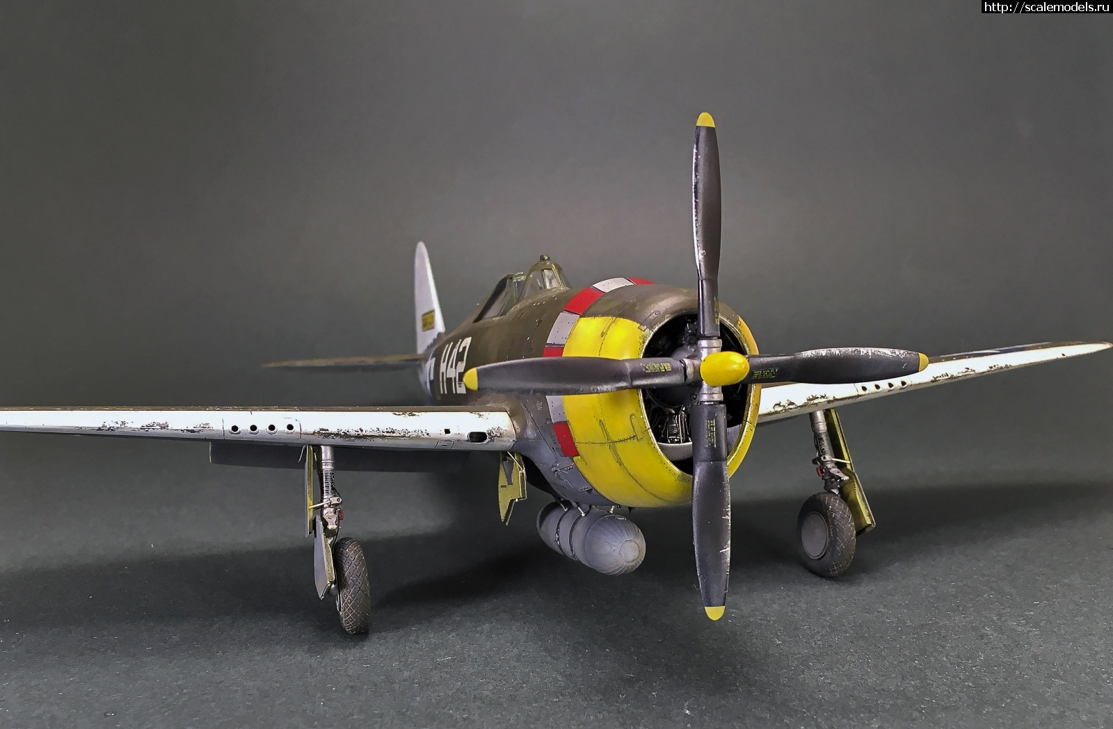 1584903475_IMG_4659.jpg : #1608660/ Tamiya 1/48 P-47,D-16. Thunderbolt.    .  