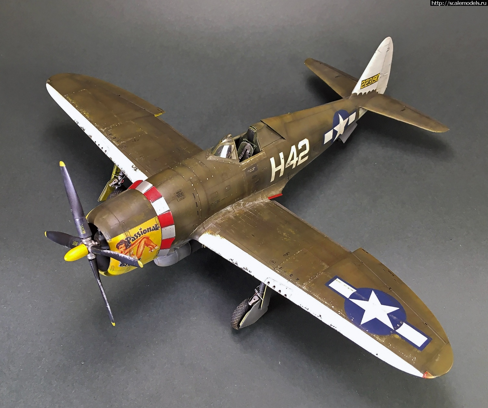 1584903483_IMG_4668.jpg : #1608660/ Tamiya 1/48 P-47,D-16. Thunderbolt.    .  