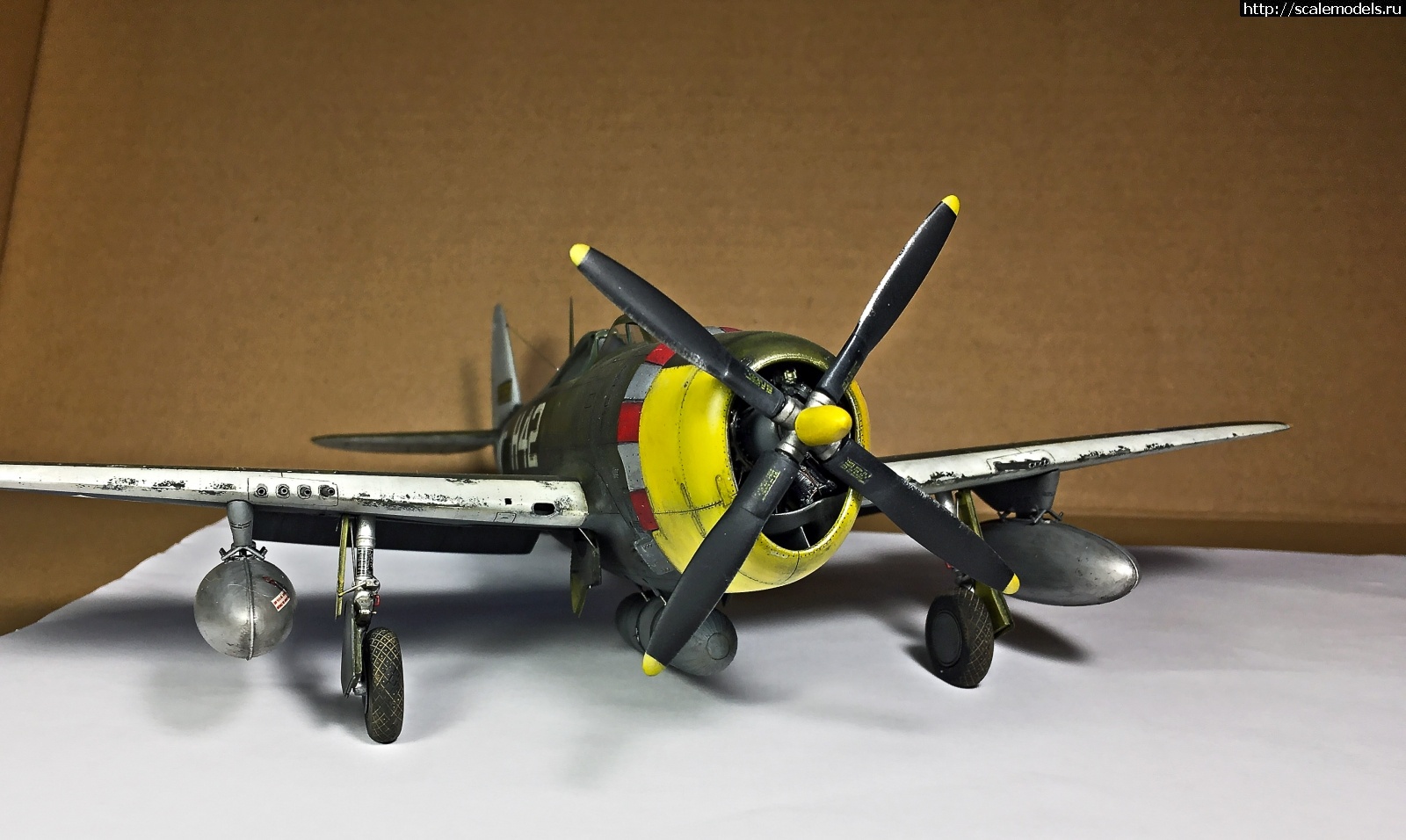 1585676126_IMG_4725.jpg : #1610199/ Tamiya 1/48 P-47,D-16. Thunderbolt.    .  