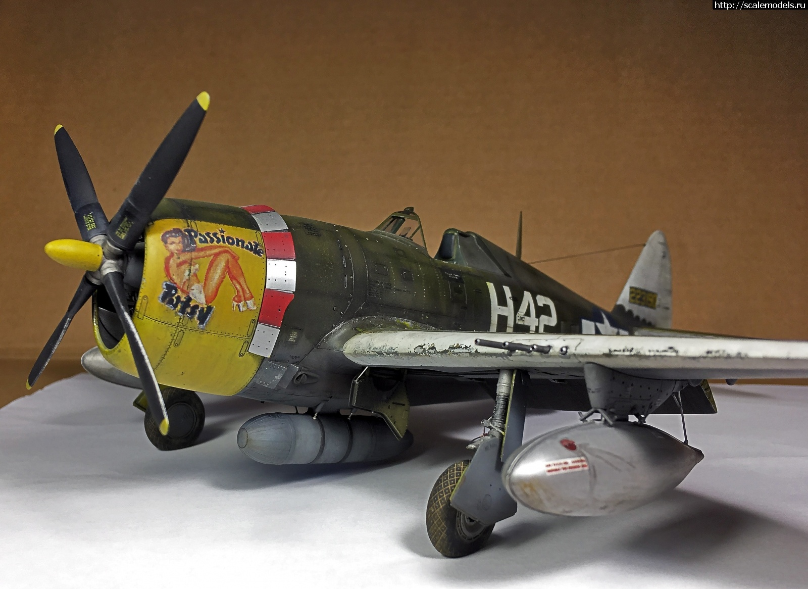 1585676136_IMG_4727.jpg : #1610199/ Tamiya 1/48 P-47,D-16. Thunderbolt.    .  