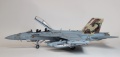 Hasegawa 1/72 EA-18G Growler