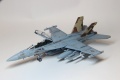 Hasegawa 1/72 EA-18G Growler