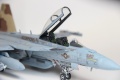 Hasegawa 1/72 EA-18G Growler