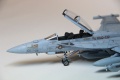 Hasegawa 1/72 EA-18G Growler