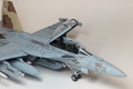 Hasegawa 1/72 EA-18G Growler