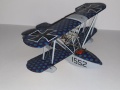 C 1/48 Hansa-Brandenburg W.20