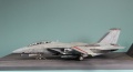 GWH 1/72 F-14D Tomcat