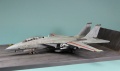 GWH 1/72 F-14D Tomcat