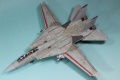 GWH 1/72 F-14D Tomcat