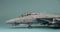 GWH 1/72 F-14D Tomcat