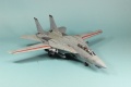 GWH 1/72 F-14D Tomcat