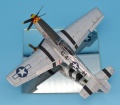 Eduard 1/48 P-51 D  