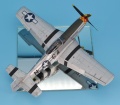 Eduard 1/48 P-51 D  