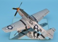 Eduard 1/48 P-51 D  