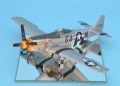 Eduard 1/48 P-51 D  