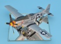 Eduard 1/48 P-51 D  