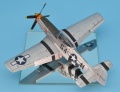 Eduard 1/48 P-51 D  