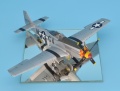 Eduard 1/48 P-51 D  